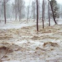 201107_alluvione_sele.jpg