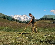 agricoltura-gra.jpg agricoltura-gra.jpg