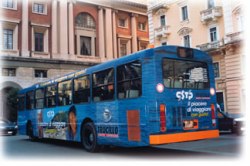 busg.jpg busg.jpg