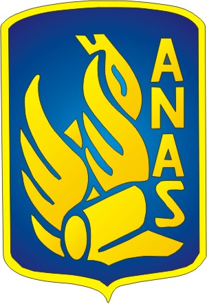 logo-anas.jpg