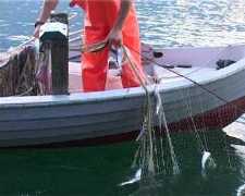 pesca_g.jpg pesca_g.jpg