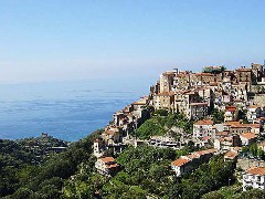 pisciotta_g.jpg pisciotta_g.jpg