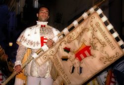 randino_g.jpg randino_g.jpg