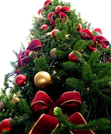 albero_di_natale.jpg