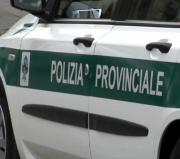 polizia provinciale