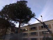 liceo la mura