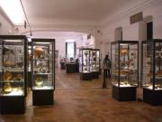 musei
