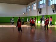 PALESTRA SANTA CATERINA AMENDOLA